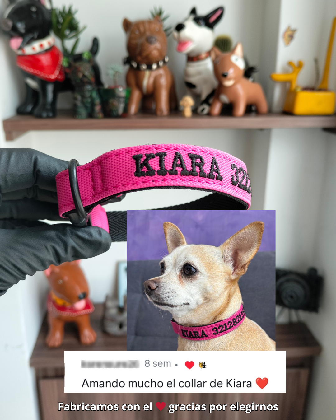 Testimonio collar mini